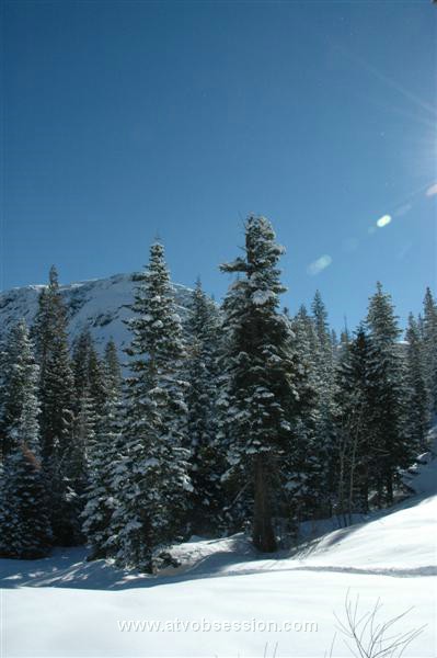 053. Another Larry artsy fartsy shot..jpg