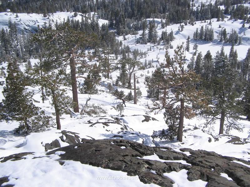 081. Uh oh..Greenies on shoes coming up..jpg