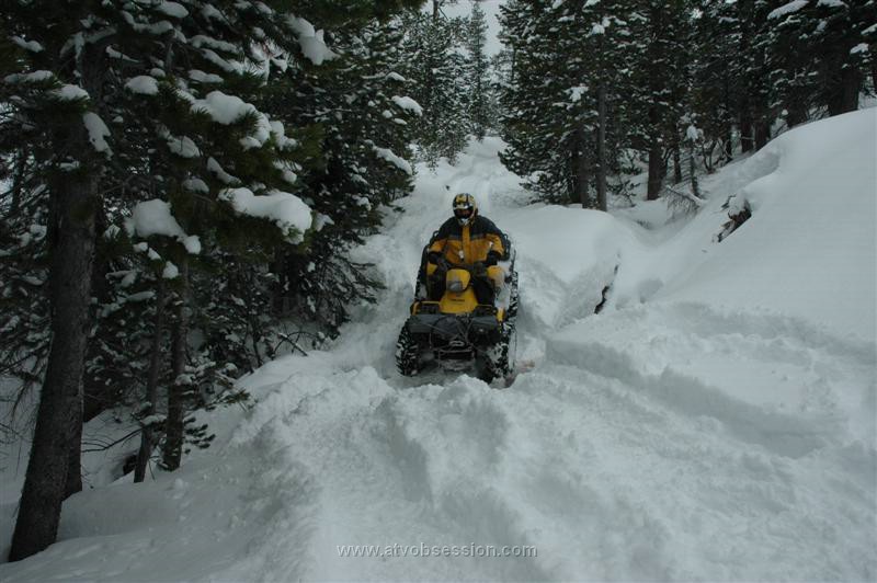 097. Looking good..jpg