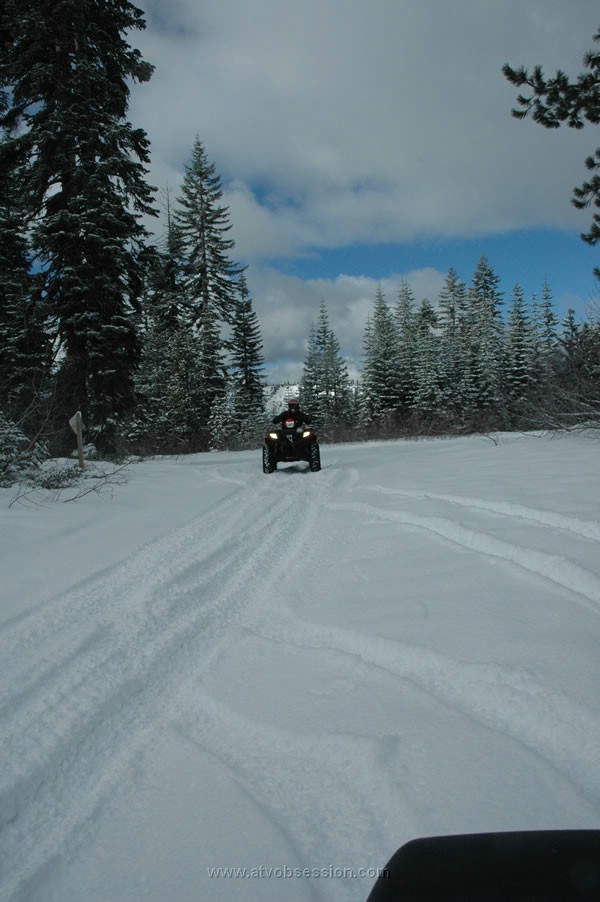 35. Ken's last...mother hen..jpg