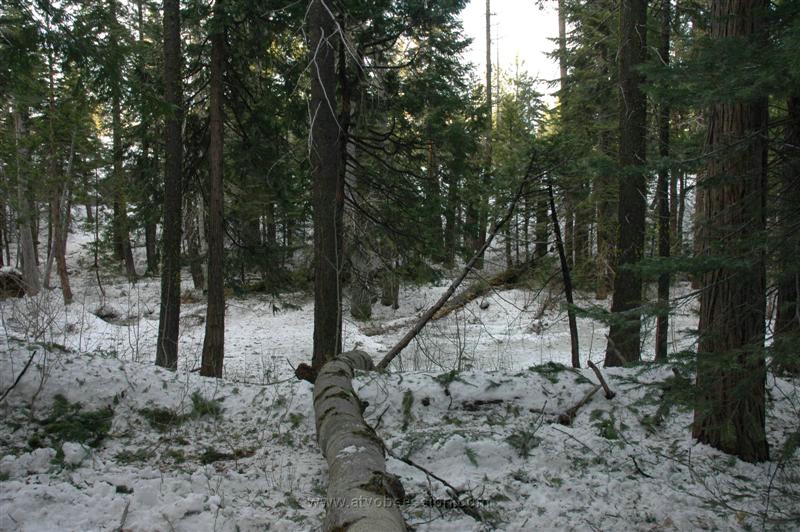 62. Half Frozen Pond, Can't Drive Around It!.jpg